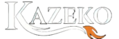 kazeko.in